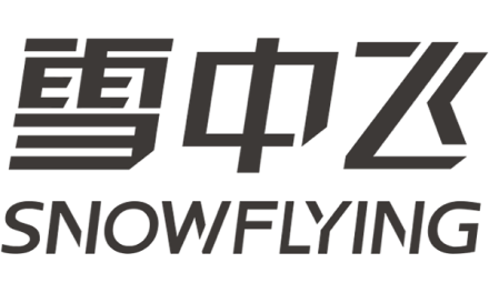 雪中飞